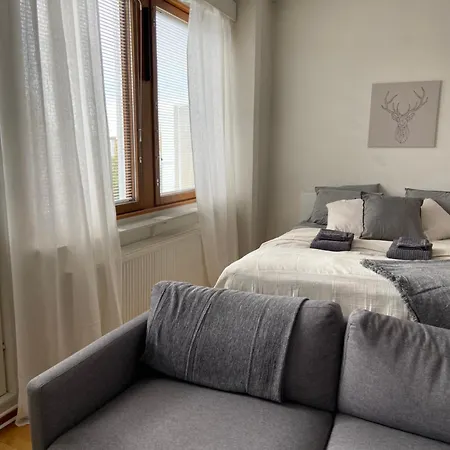 Kodikas Rovaniemen Keskustassa Huoneisto Rovaniemi